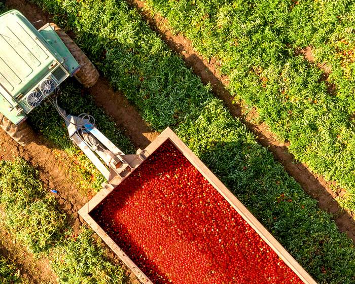 Этикетка говорит сама за себя… в режиме smart