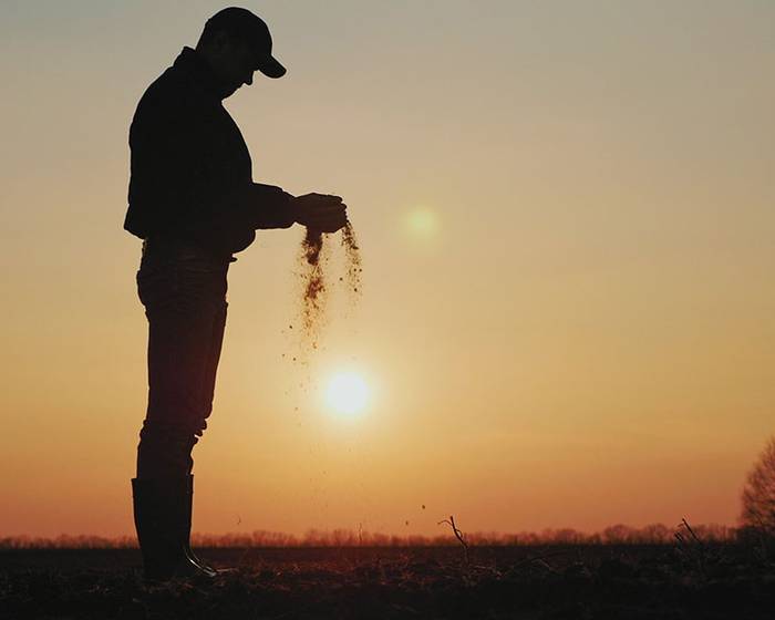 Meet Our Farmers: Pomì заботится о тех, кто заботится о помидорах