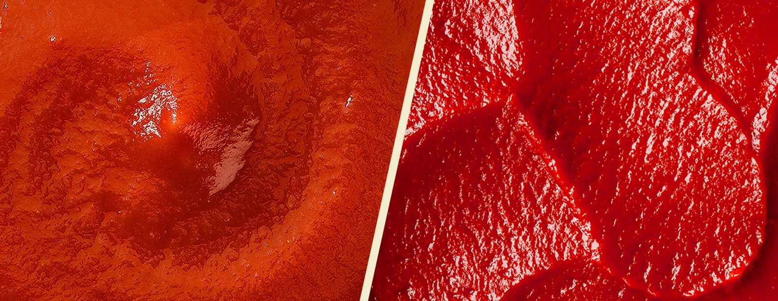 Tomato puree or tomato paste: which should you choose for your dishes?