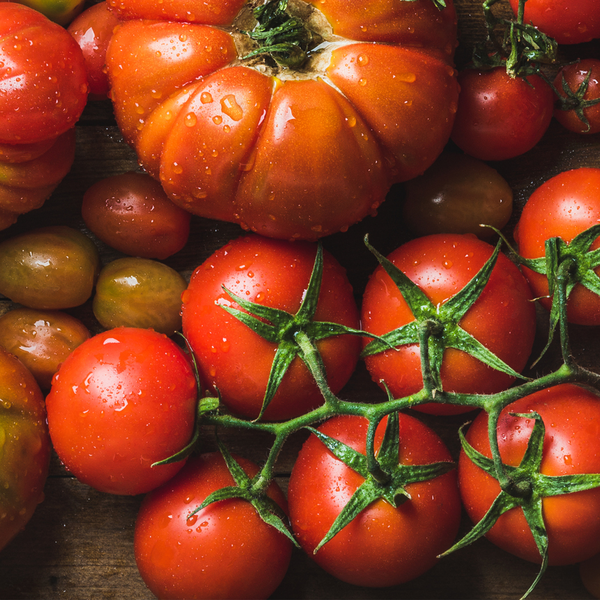 Risotti: idee al pomodoro con i sapori dell’autunno