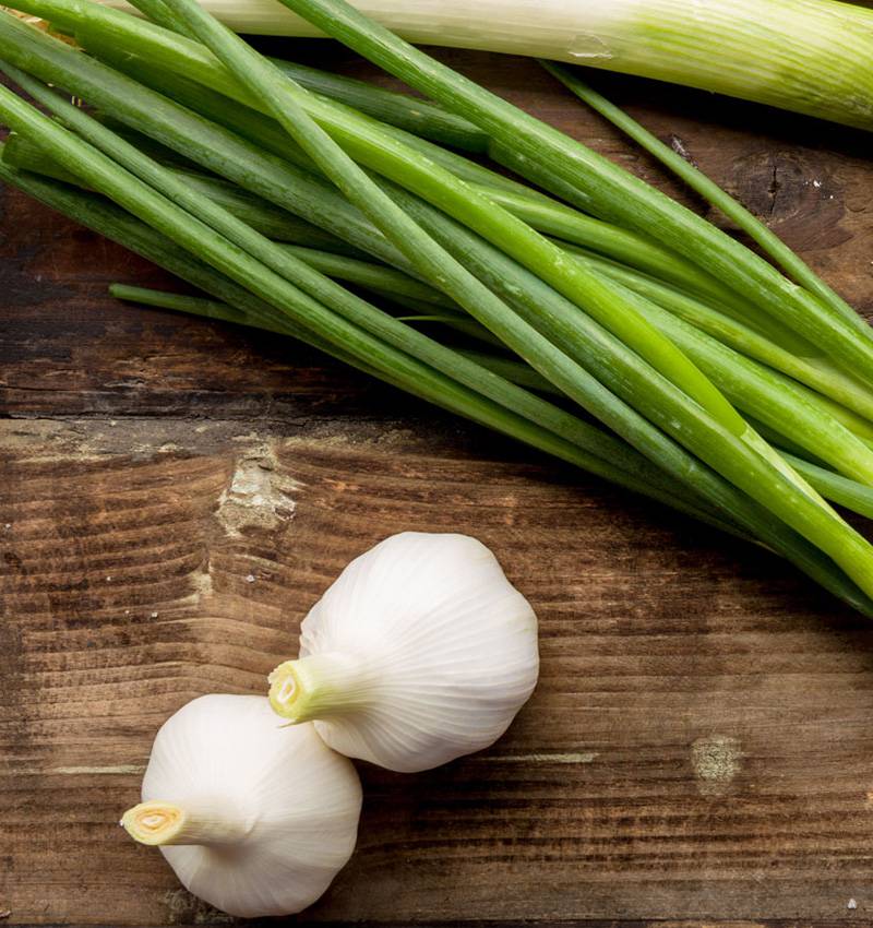 Signore e signori, l’Allium ampeloprasum… alias il Porro