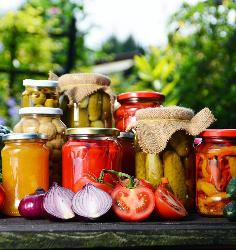 La Fermentazione Alimentare