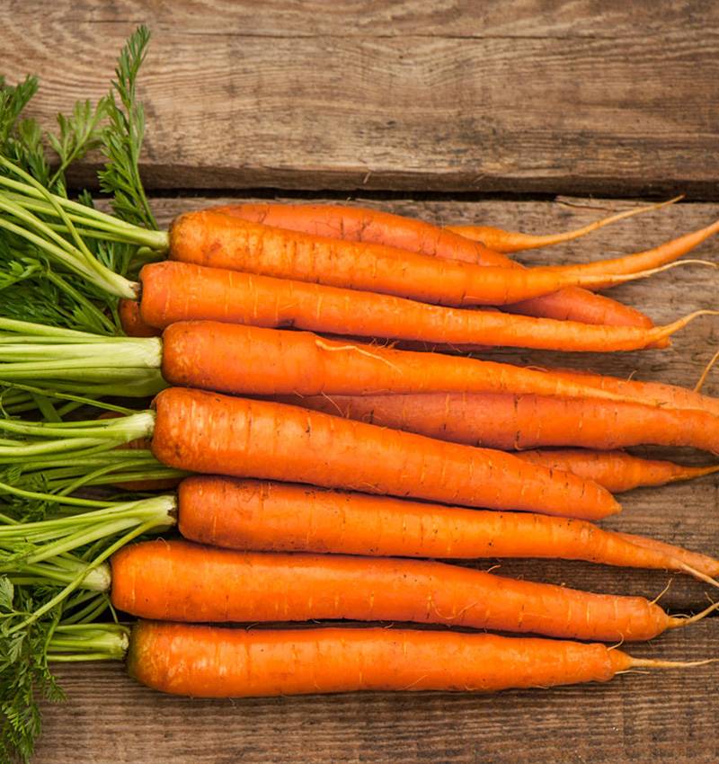 È vero, ci sono tutto l’anno, ma in estate ti stupisco