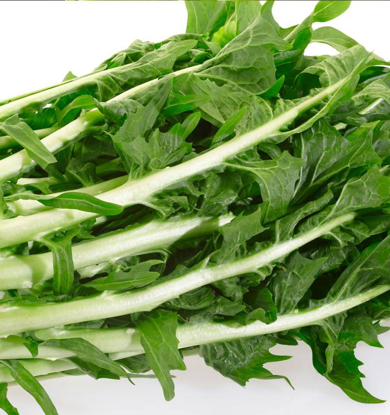 La rivincita della “bruttona”