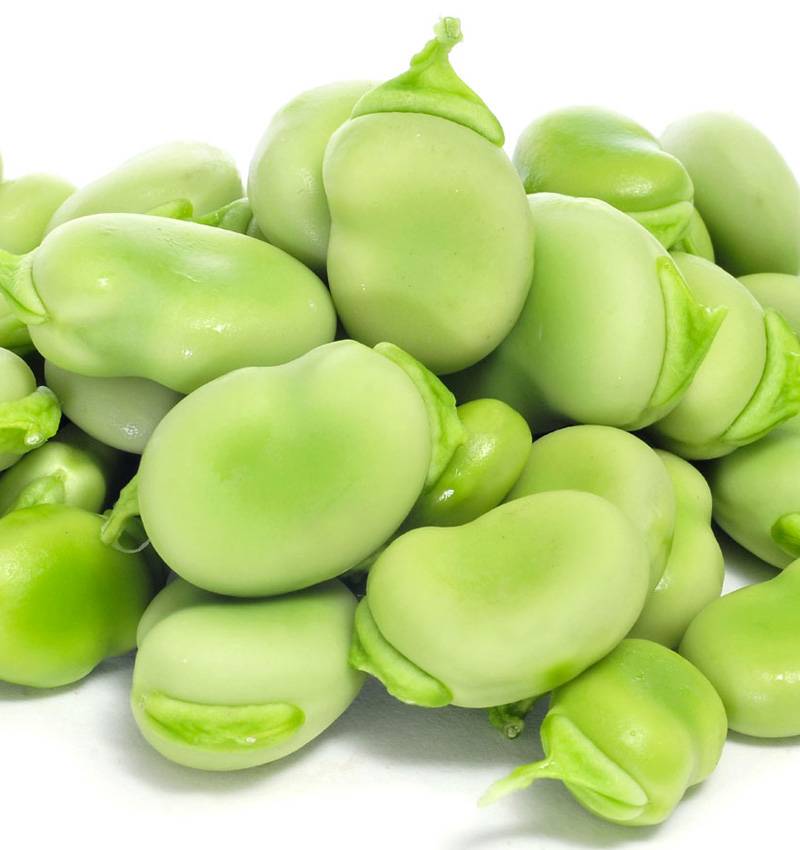 Capire una fava è già qualcosa