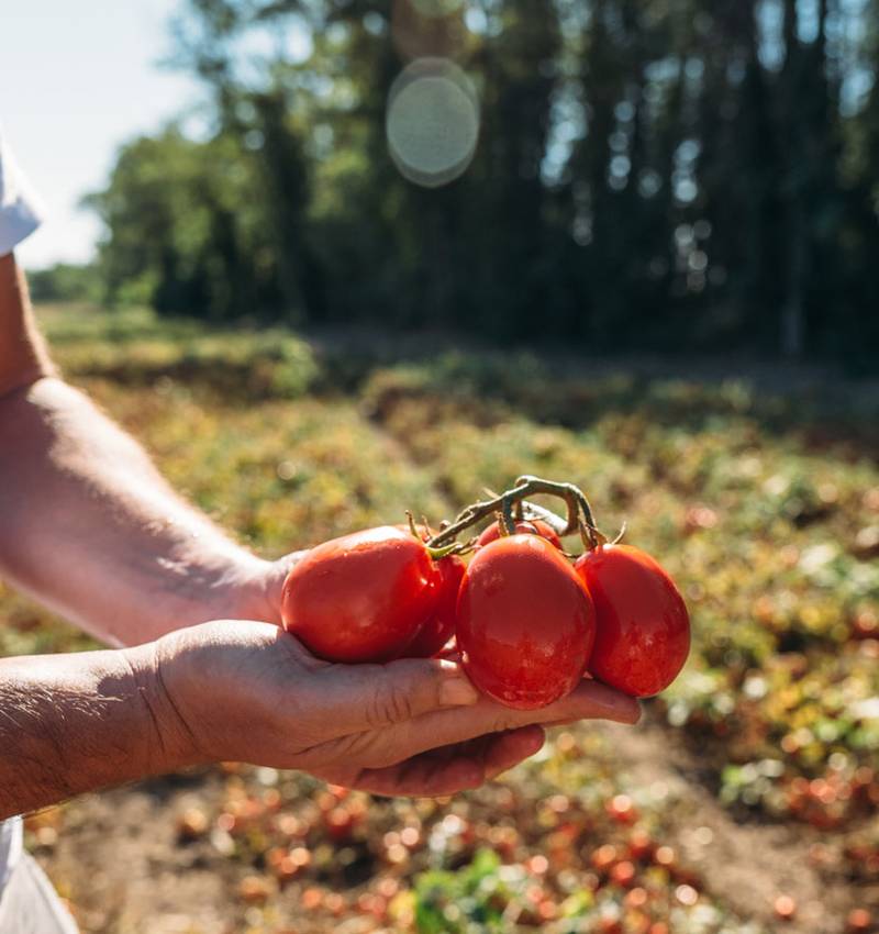 Parola agli agricoltori