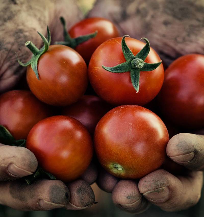 Oggi il protagonista è lui: il piccolo agricoltore.