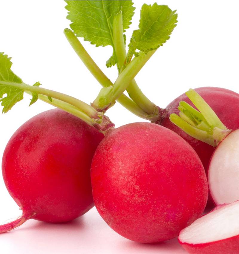Orto in casa? Un ravanello è per sempre