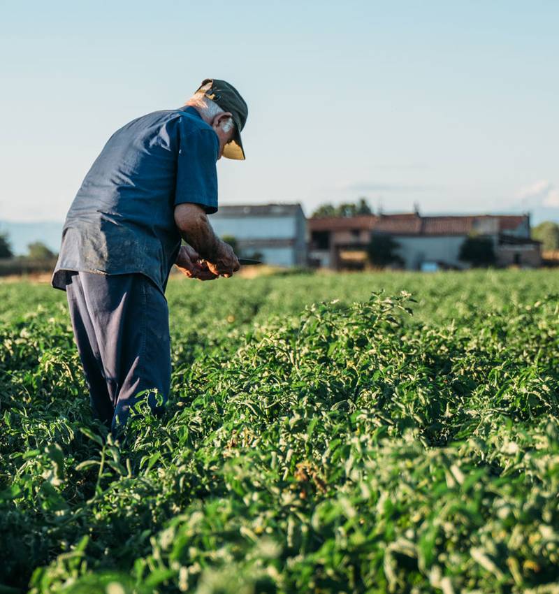 A matter of Quality!