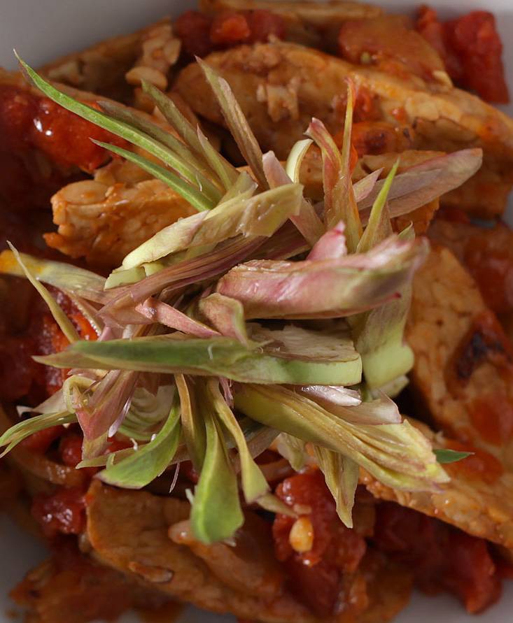 Tempeh alla cipolla stufata e carciofi