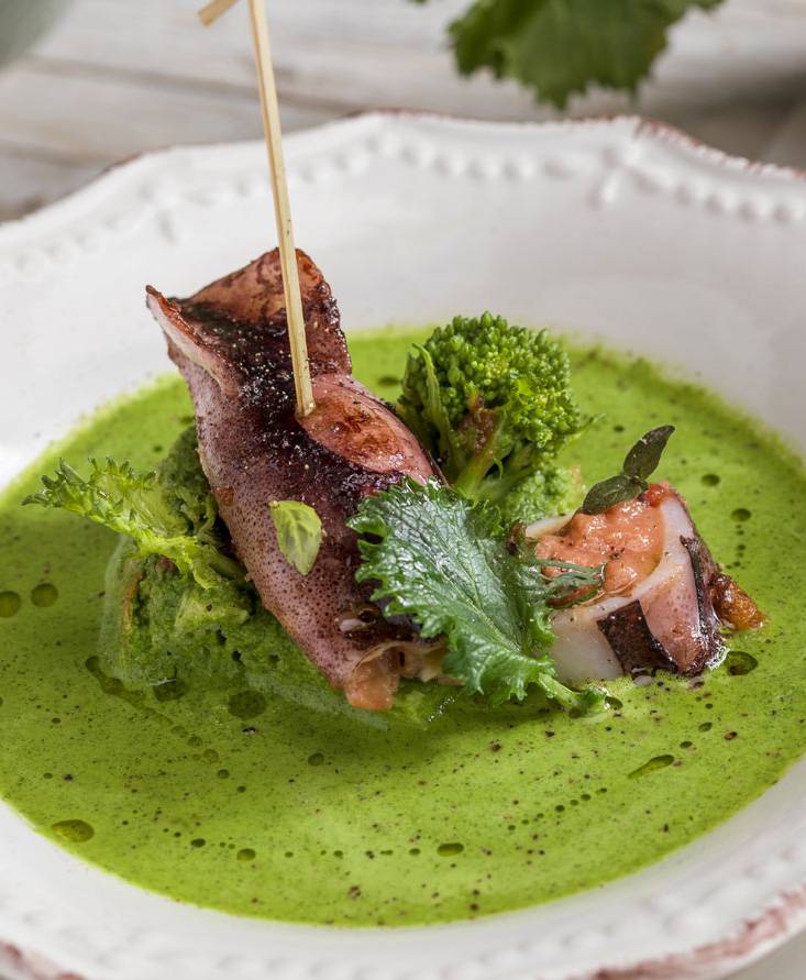 STUFFED SQUIDS WITH TOMATO SAUCE ON CREAM OF TURNIP GREENS