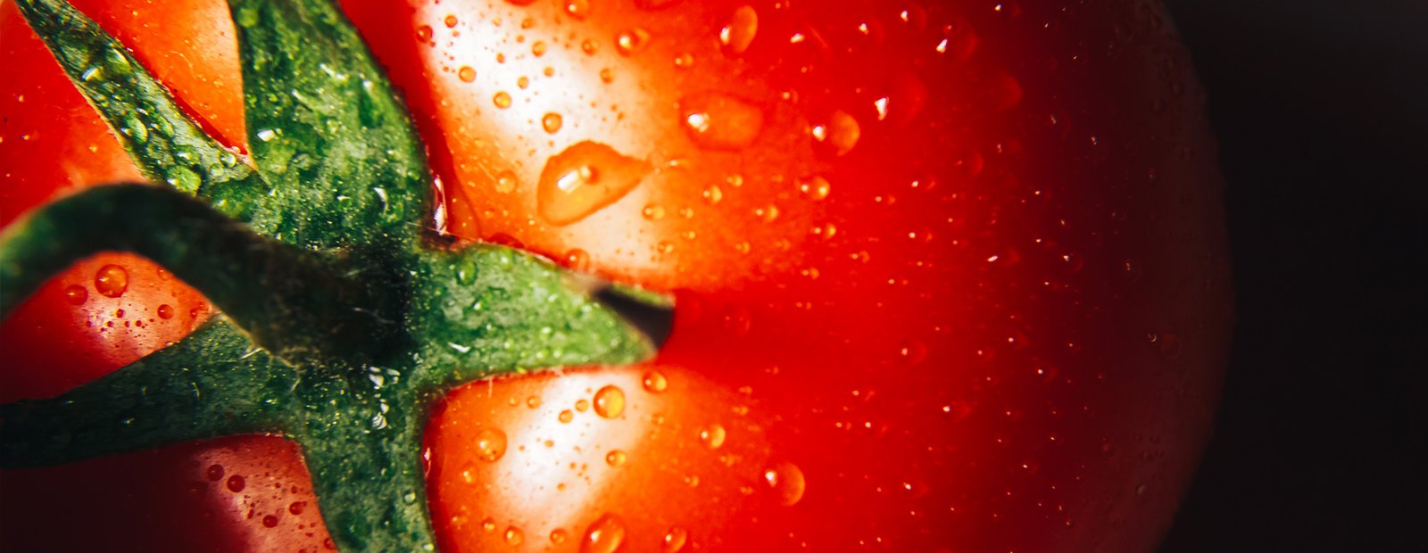 الطماطم في الثقافة العربية والإيطالية: الفروقات والنقاط المشتركة