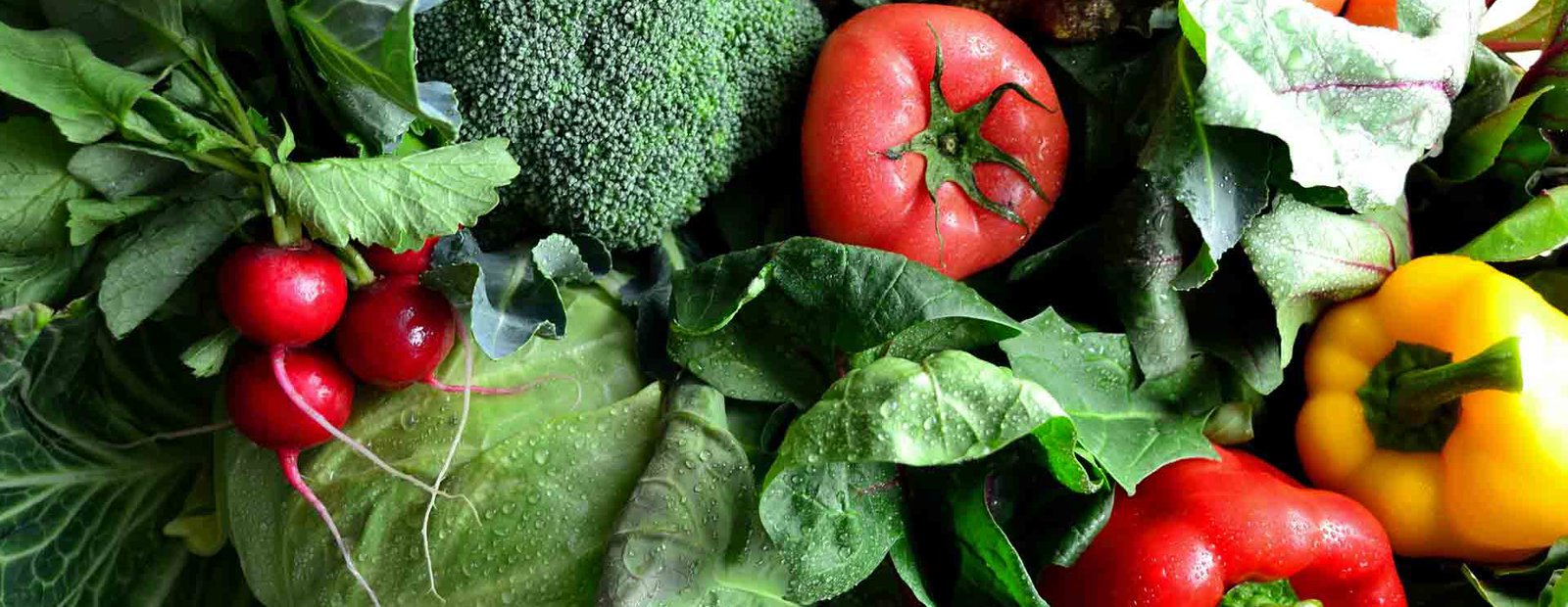 Le verdure più salutari del pianeta